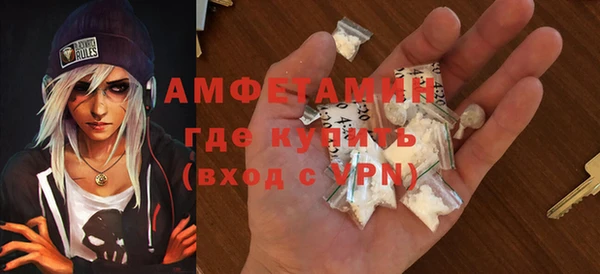 ГАЛЛЮЦИНОГЕННЫЕ ГРИБЫ Ельня