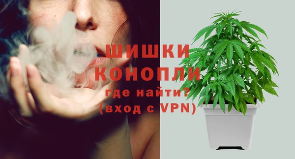 ГАЛЛЮЦИНОГЕННЫЕ ГРИБЫ Ельня