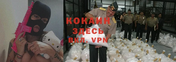 ГАЛЛЮЦИНОГЕННЫЕ ГРИБЫ Ельня