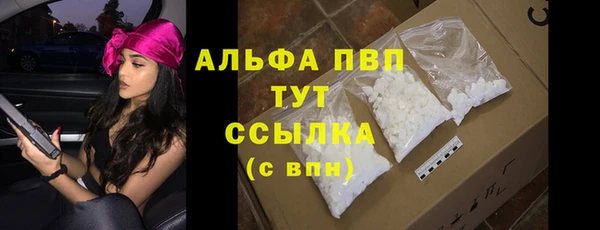 ГАЛЛЮЦИНОГЕННЫЕ ГРИБЫ Ельня