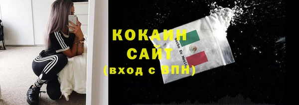 ГАЛЛЮЦИНОГЕННЫЕ ГРИБЫ Ельня