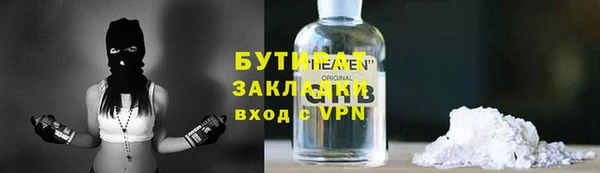 ГАЛЛЮЦИНОГЕННЫЕ ГРИБЫ Ельня
