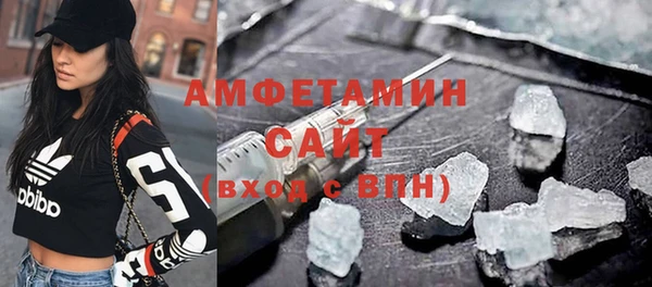 ГАЛЛЮЦИНОГЕННЫЕ ГРИБЫ Ельня