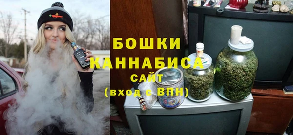 ГАЛЛЮЦИНОГЕННЫЕ ГРИБЫ Ельня