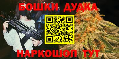 крисы Нальчик
