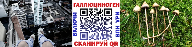 купить   Заринск  Галлюциногенные грибы ЛСД 