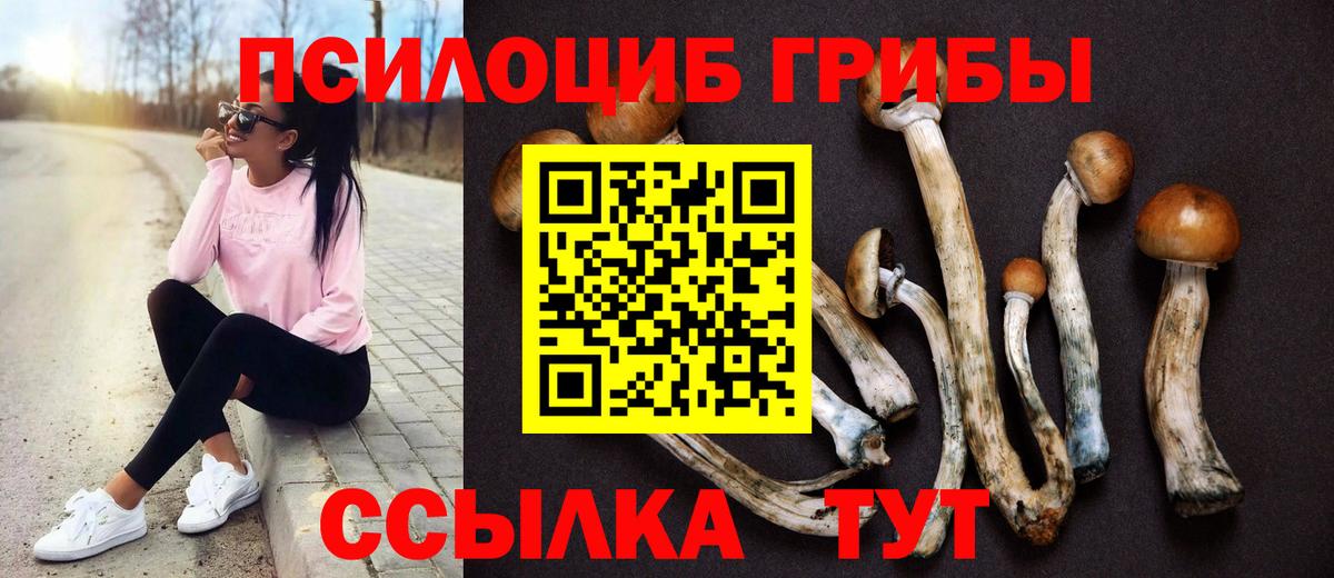 Псилоцибиновые грибы Magic Shrooms Заринск